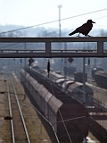 A0091052e